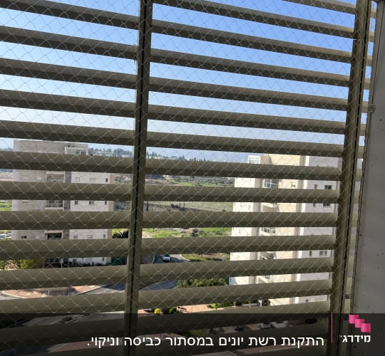 רשת מתכת על חלון למניעת כניסת יונים